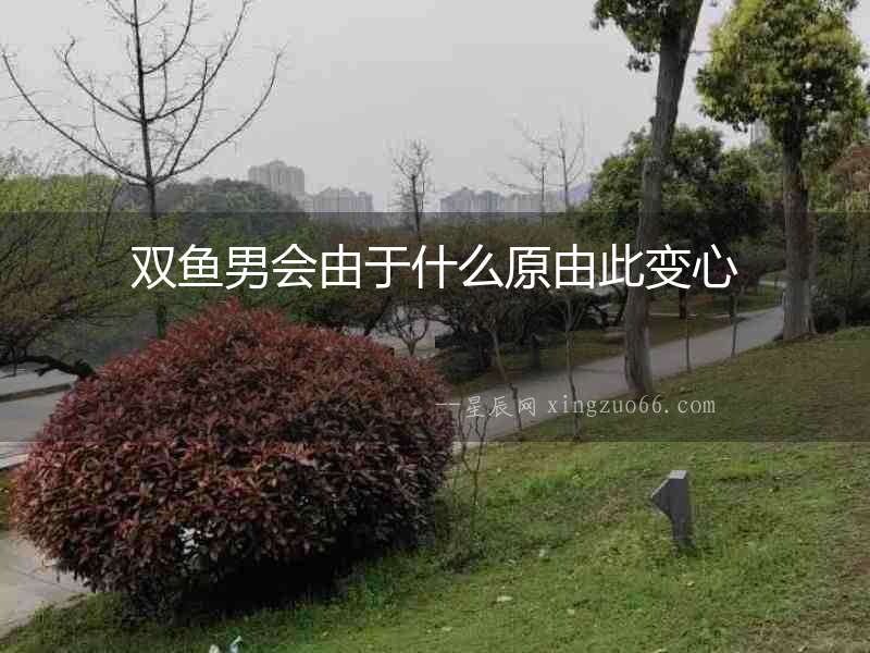 雙魚男會由于什么原由此變心