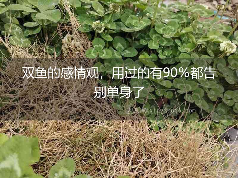 雙魚的感情觀，用過的有90％都告別單身了