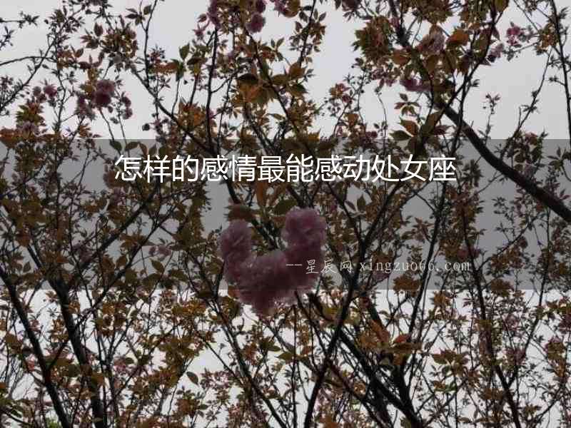 怎樣的感情最能感動處女座