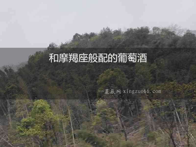 和摩羯座般配的葡萄酒