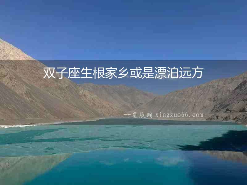 雙子座生根家鄉或是漂泊遠方