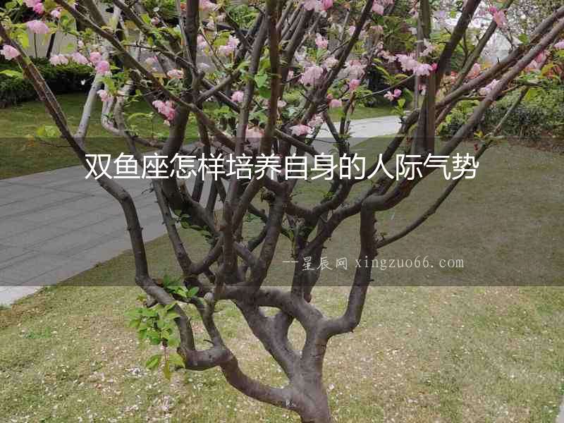 雙魚座怎樣培養自身的人際氣勢