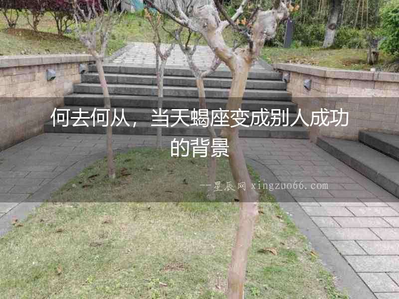 何去何從，當(dāng)天蝎座變成別人成功的背景
