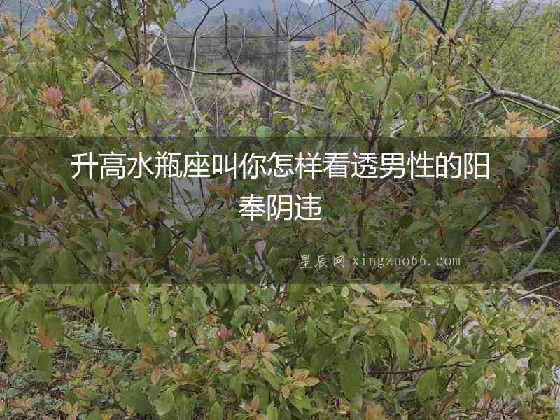 升高水瓶座叫你怎樣看透男性的陽(yáng)奉陰違