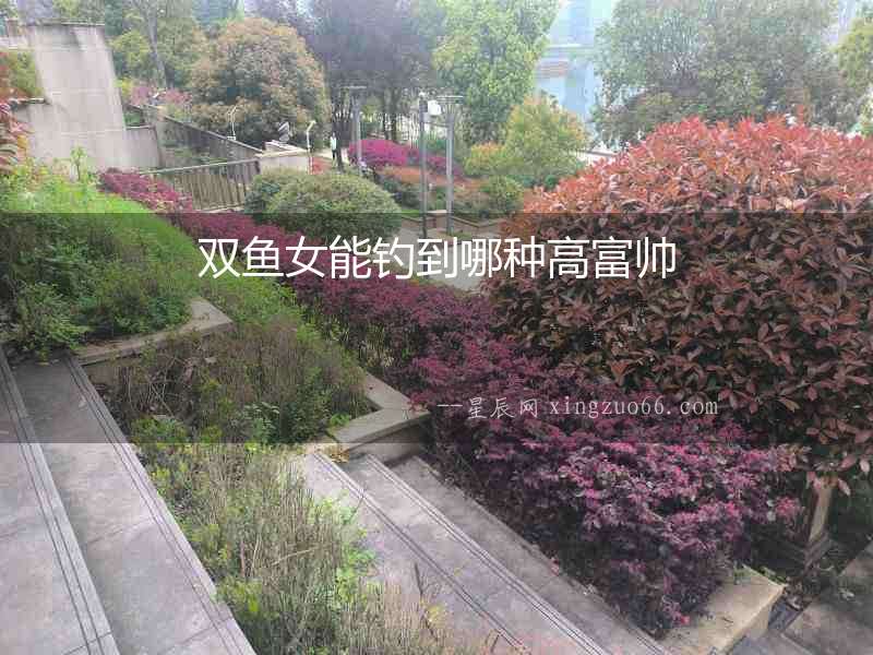 雙魚女能釣到哪種高富帥
