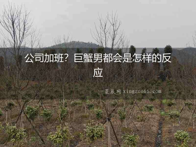 公司加班？巨蟹男都會(huì)是怎樣的反應(yīng)