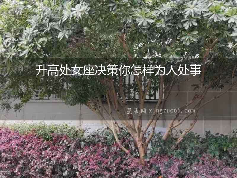 升高處女座決策你怎樣為人處事
