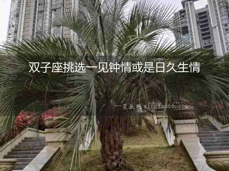 雙子座挑選一見鐘情或是日久生情