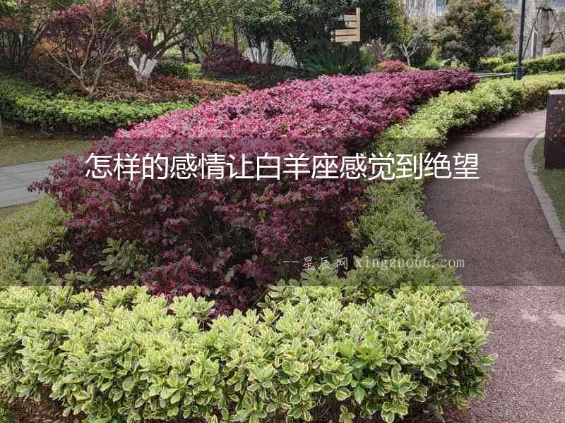 怎樣的感情讓白羊座感覺到絕望