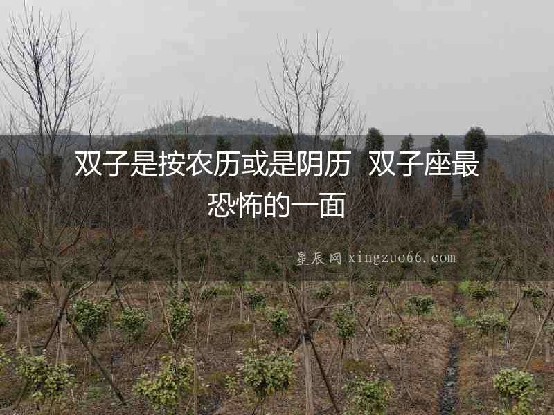 雙子是按農歷或是陰歷  雙子座最恐怖的一面
