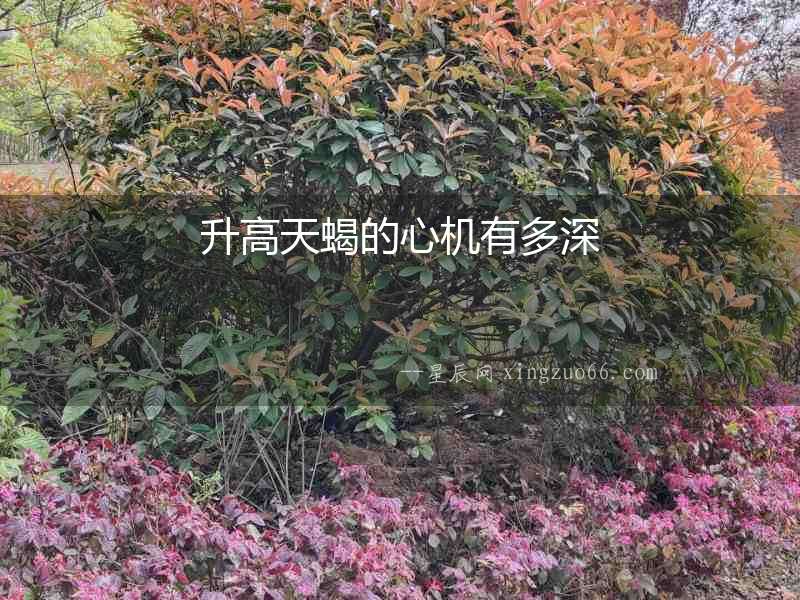 升高天蝎的心機有多深