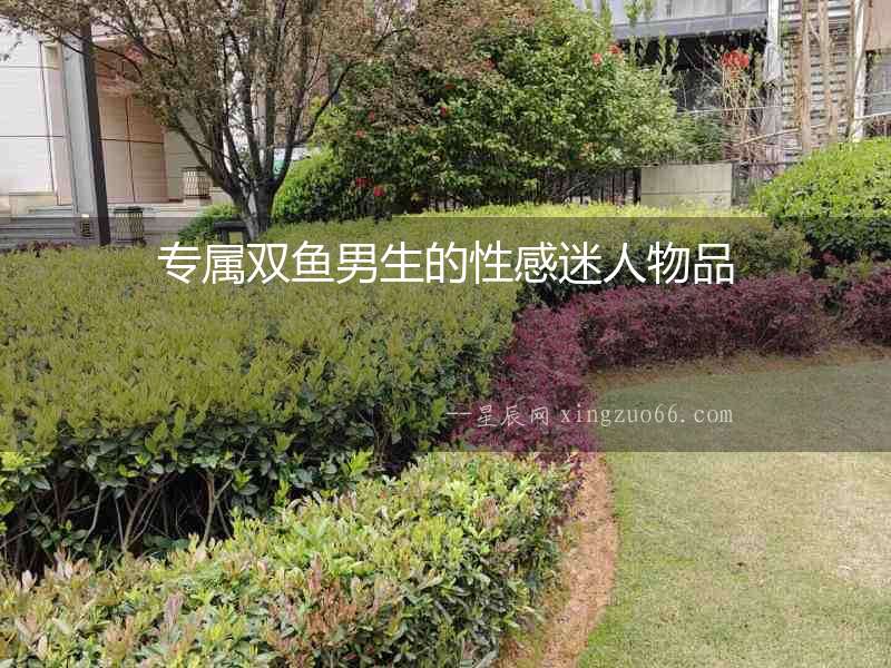 專屬雙魚男生的性感迷人物品