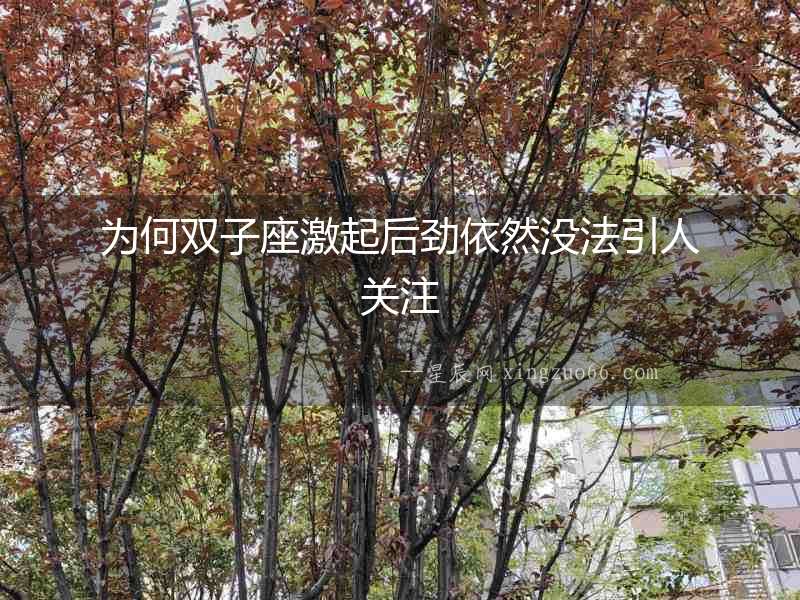 為何雙子座激起后勁依然沒法引人關(guān)注