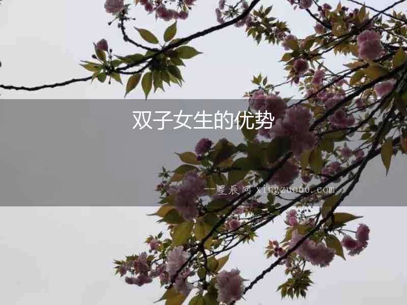 雙子女生的優勢