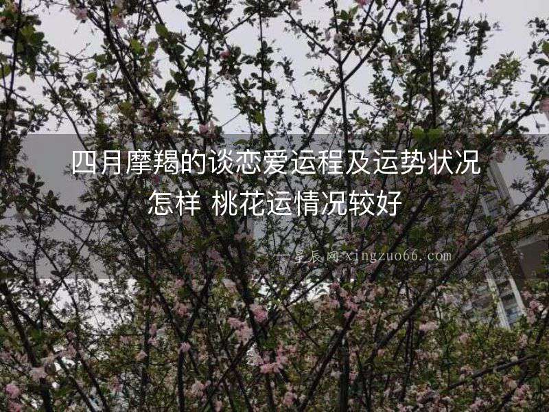 四月摩羯的談戀愛運程及運勢狀況怎樣 桃花運情況較好