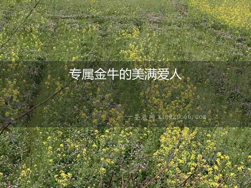 專屬金牛的美滿愛人