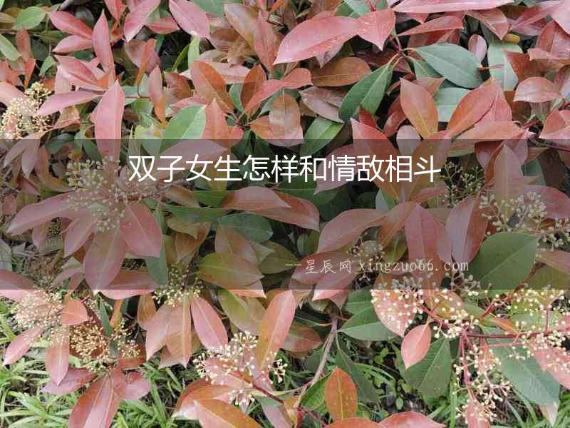 雙子女生怎樣和情敵相斗