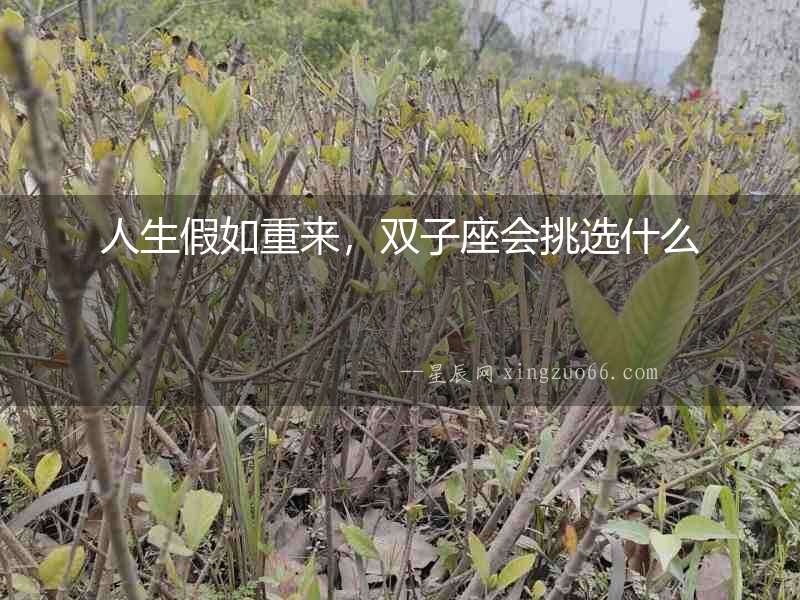 人生假如重來，雙子座會挑選什么