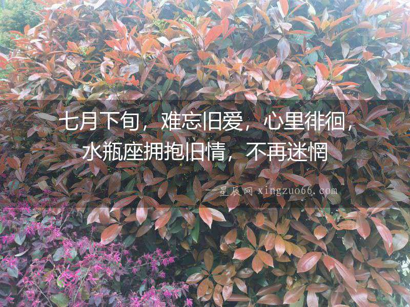 七月下旬，難忘舊愛，心里徘徊，水瓶座擁抱舊情，不再迷惘