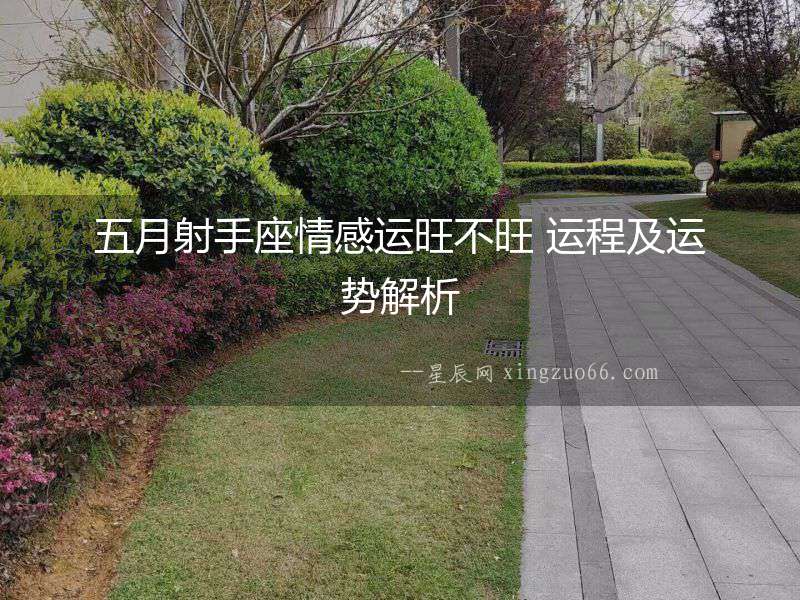 五月射手座情感運旺不旺 運程及運勢解析