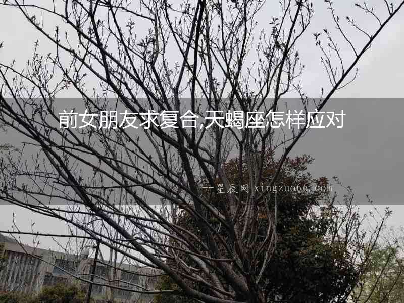 前女朋友求復合,天蝎座怎樣應對