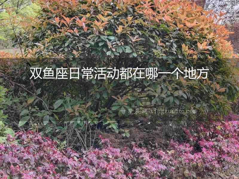雙魚座日常活動都在哪一個地方