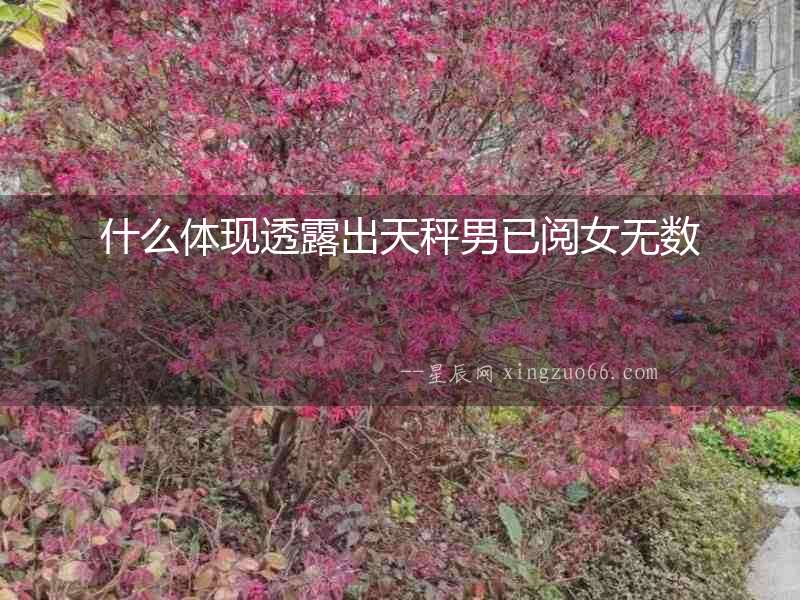 什么體現透露出天秤男已閱女無數