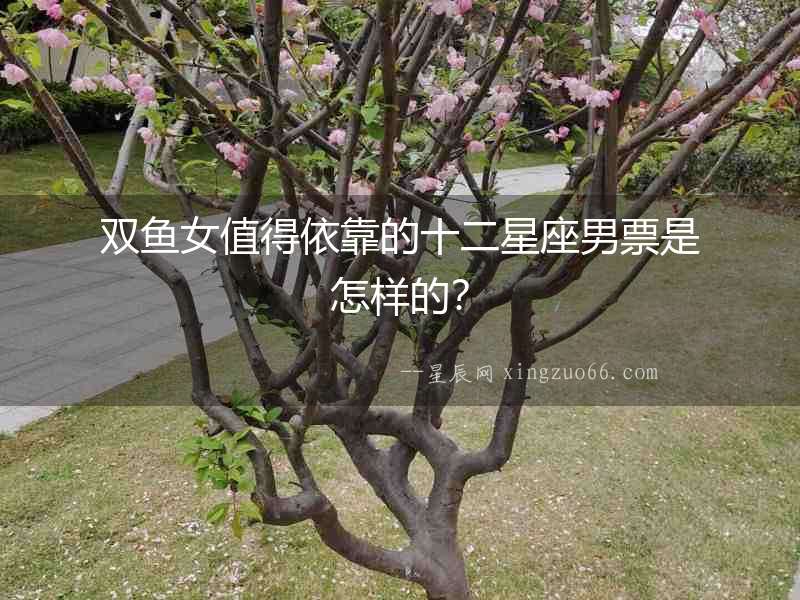 雙魚女值得依靠的十二星座男票是怎樣的？