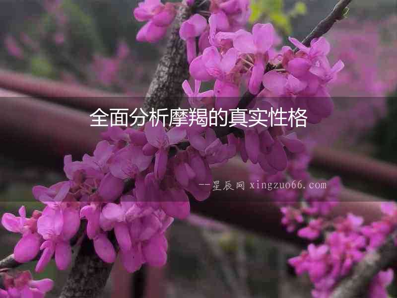 全面分析摩羯的真實性格