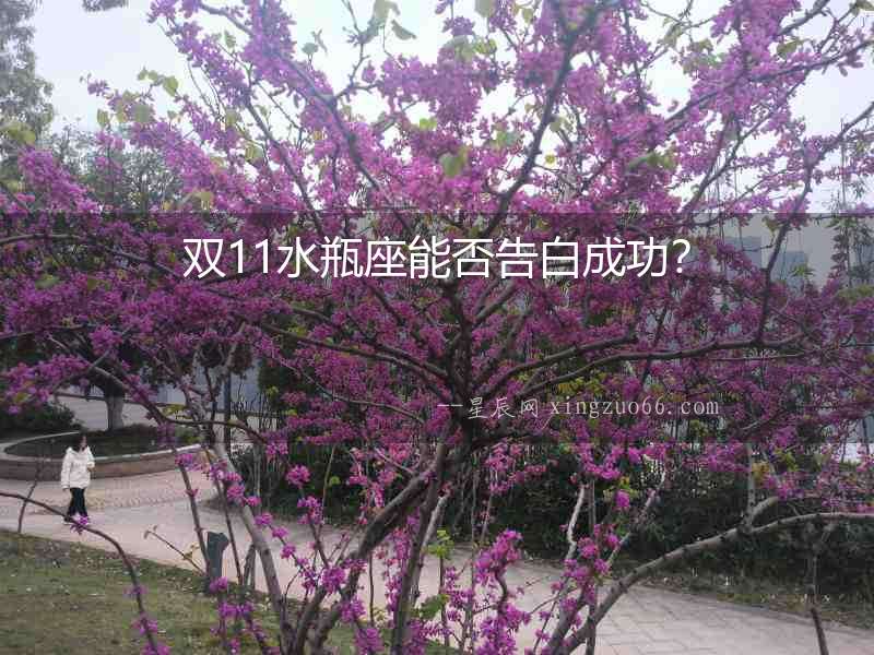 雙11水瓶座能否告白成功？