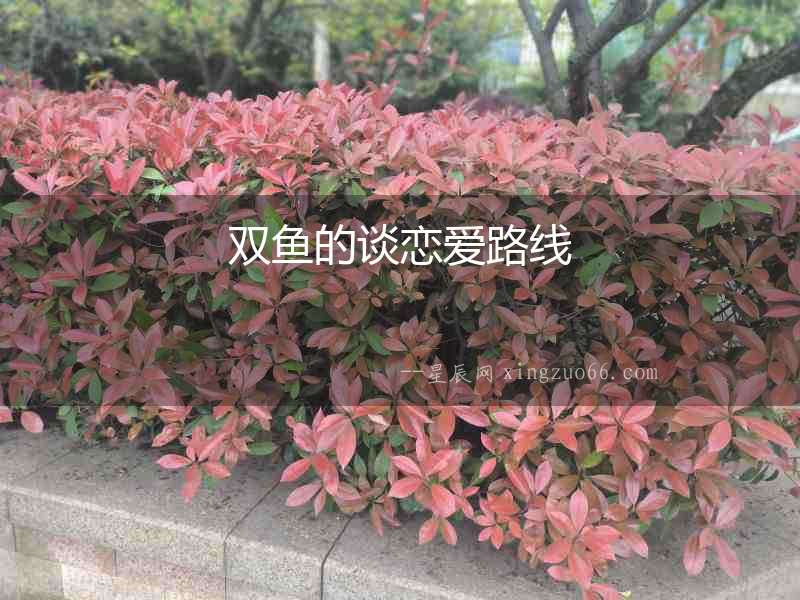 雙魚的談戀愛路線