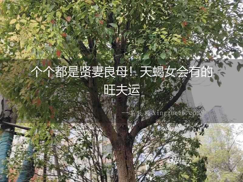 個個都是賢妻良母！天蝎女會有的旺夫運