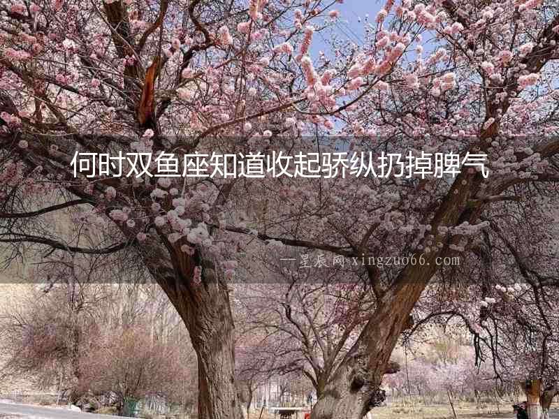 何時(shí)雙魚(yú)座知道收起驕縱扔掉脾氣