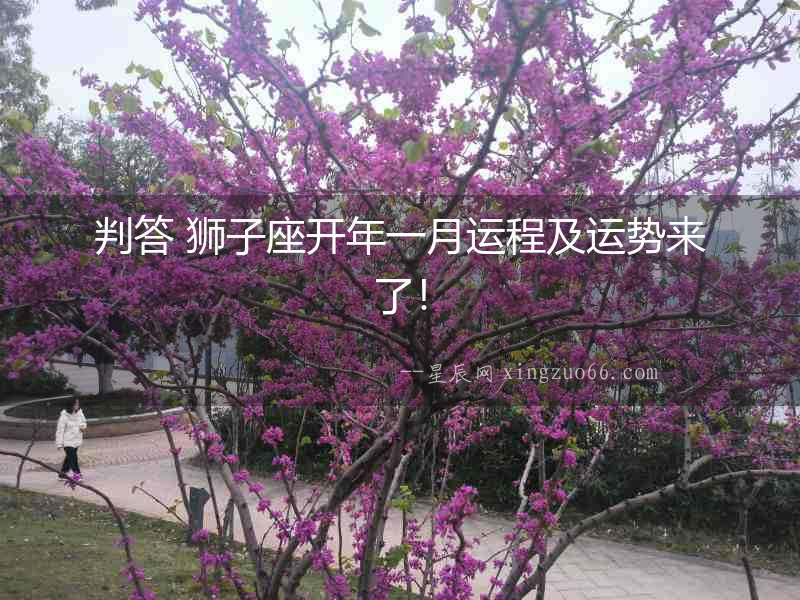 判答 獅子座開年一月運程及運勢來了！