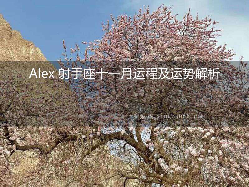 Alex 射手座十一月運程及運勢解析