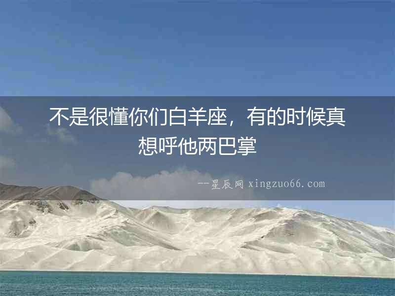 不是很懂你們白羊座，有的時候真想呼他兩巴掌