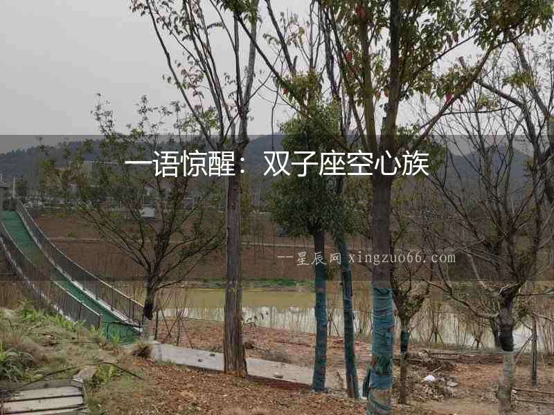 一語驚醒：雙子座空心族