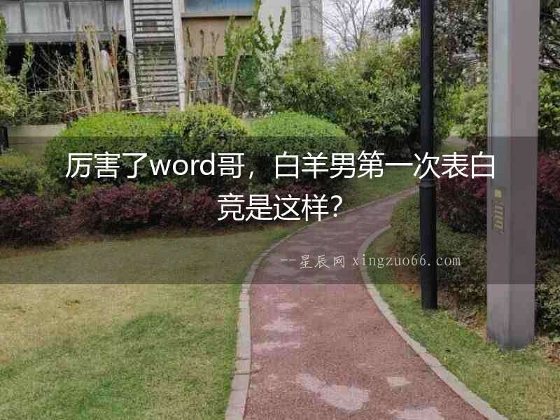 厲害了word哥，白羊男第一次表白競是這樣？