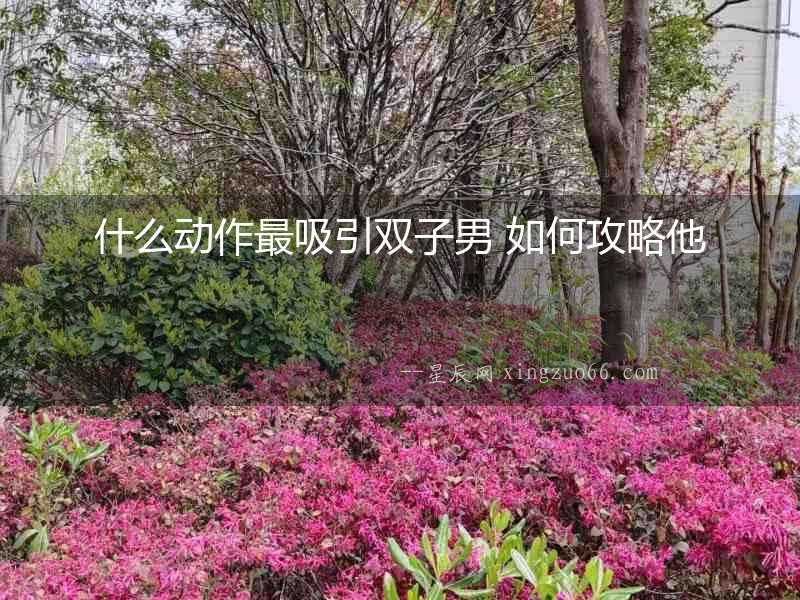 什么動作最吸引雙子男 如何攻略他