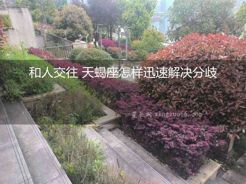 和人交往 天蝎座怎樣迅速解決分歧