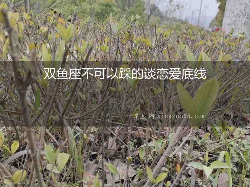 雙魚座不可以踩的談戀愛底線