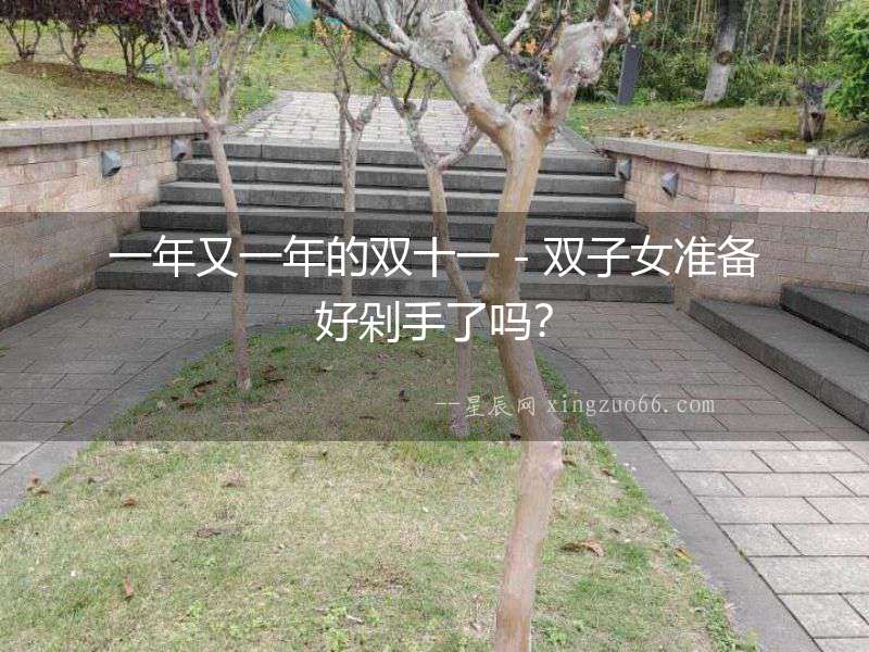 一年又一年的雙十一－雙子女準備好剁手了嗎？