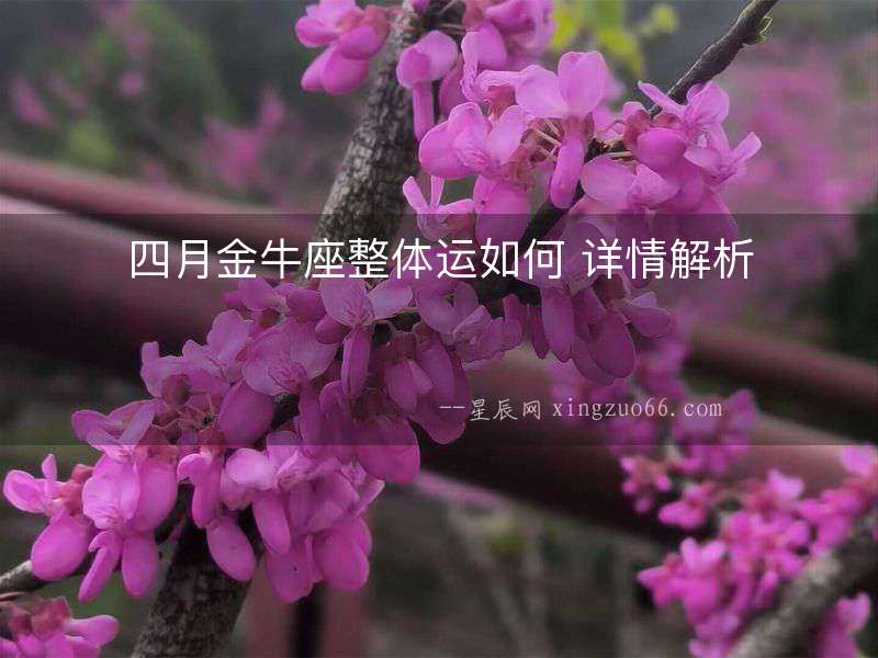 四月金牛座整體運如何 詳情解析