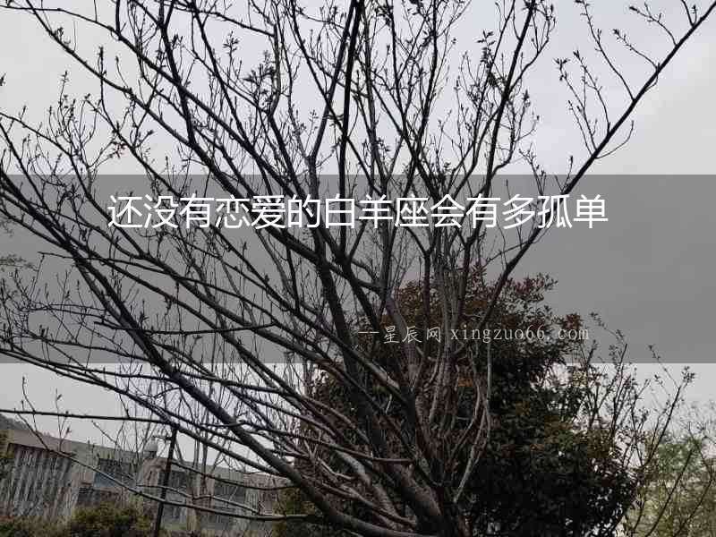 還沒有戀愛的白羊座會有多孤單