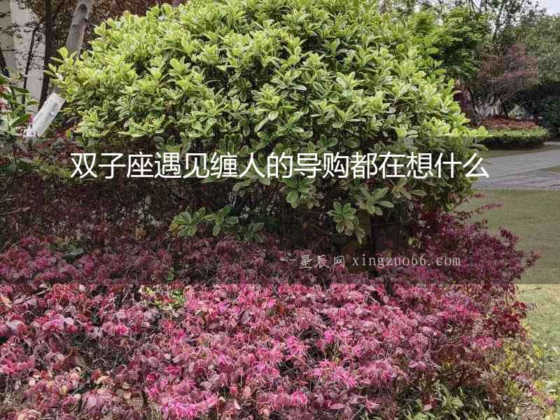 雙子座遇見纏人的導購都在想什么