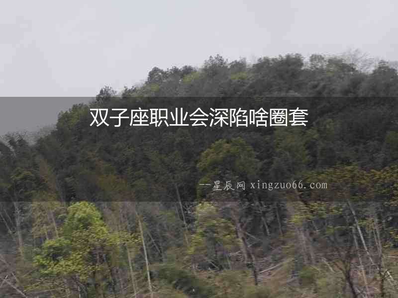 雙子座職業(yè)會深陷啥圈套