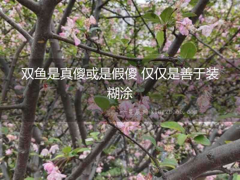 雙魚是真傻或是假傻 僅僅是善于裝糊涂