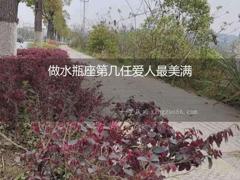 做水瓶座第幾任愛人最美滿