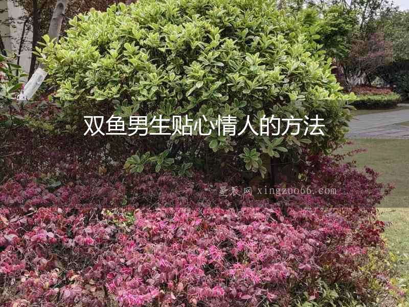雙魚男生貼心情人的方法
