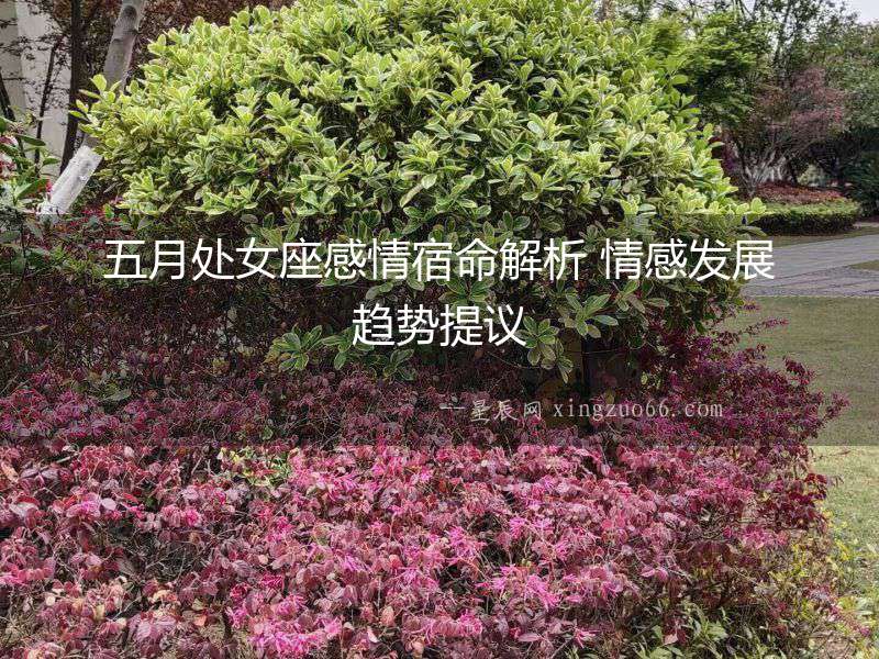 五月處女座感情宿命解析 情感發展趨勢提議